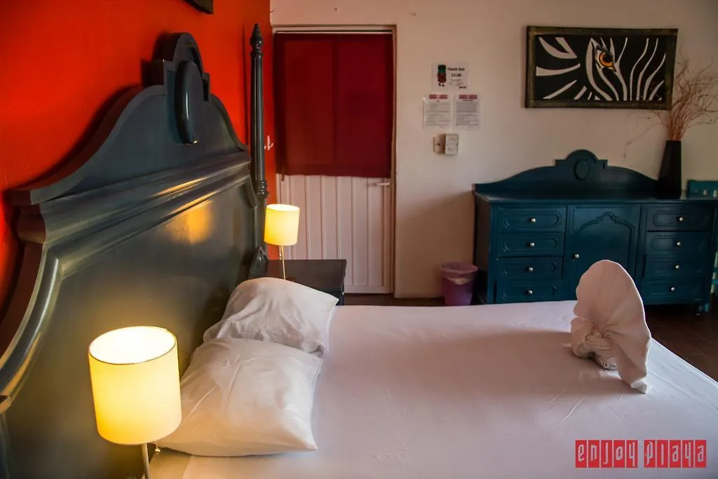 Enjoy Playa Hostel Playa del Carmen Meksika